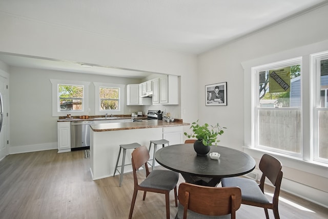 1519 Searle St, Des Moines, IA 50317 - dining space featuring light wood finished floors