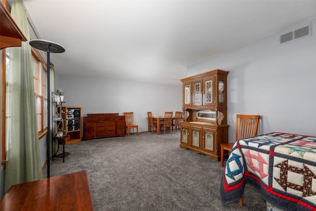 500 8th St, Waukee, IA 50263 - view of carpeted bedroom