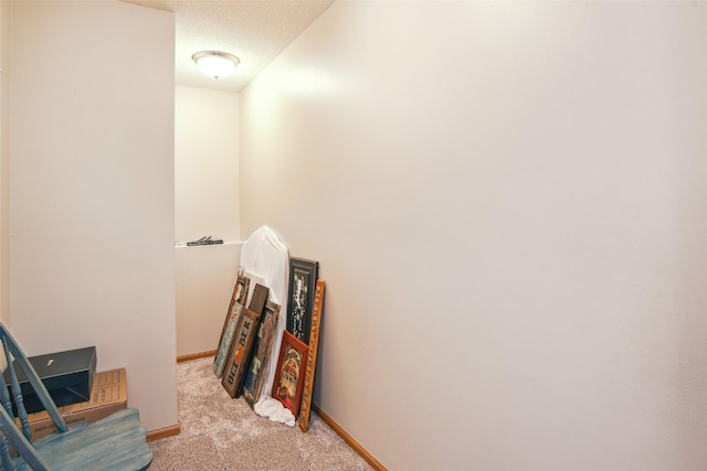 5200 Pine Valley Dr, Pleasant Hill, IA 50327 - hallway featuring carpet flooring, baseboards, and a textured ceiling