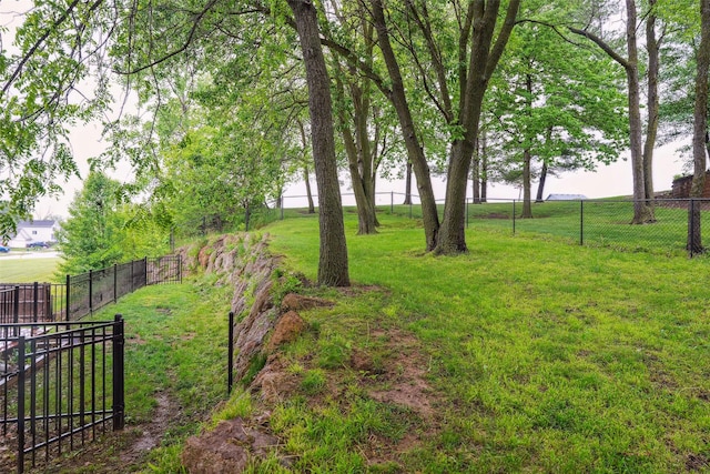 5200 Pine Valley Dr, Pleasant Hill, IA 50327 - view of yard