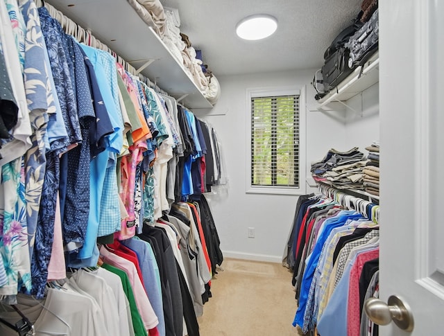 5113 Panorama Dr, Panora, IA 50216 - spacious closet with carpet floors