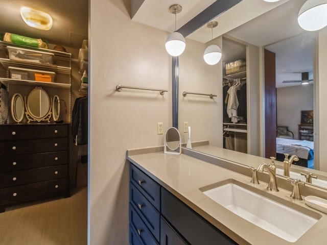 3663 Grand Ave Unit 508, Des Moines, IA 50312 - ensuite bathroom with vanity and a spacious closet