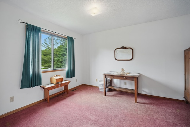 1011 NE 60th Ave, Des Moines, IA 50313 - living area featuring carpet floors, a textured ceiling, and baseboards