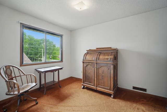1011 NE 60th Ave, Des Moines, IA 50313 - sitting room with light colored carpet, baseboards, and a textured ceiling