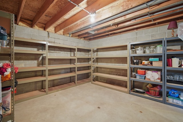 1011 NE 60th Ave, Des Moines, IA 50313 - view of storage room
