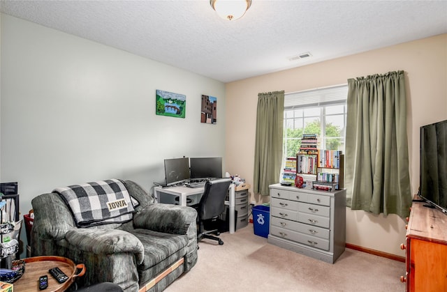 2816 Ashland Ct, Altoona, IA 50009 - home office with light carpet and a textured ceiling
