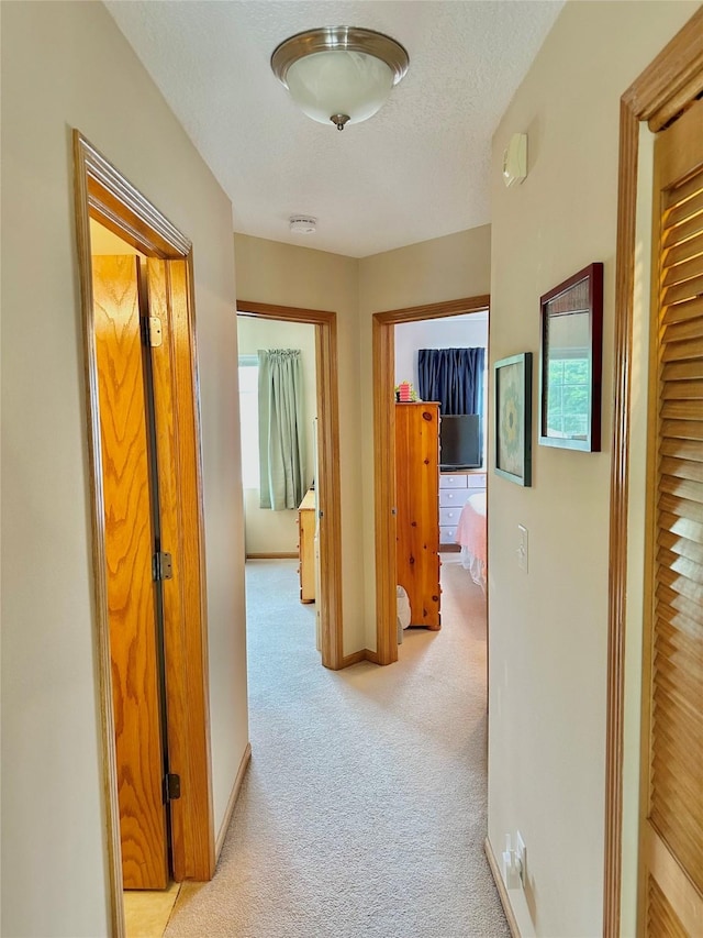 2816 Ashland Ct, Altoona, IA 50009 - corridor featuring light colored carpet and a textured ceiling