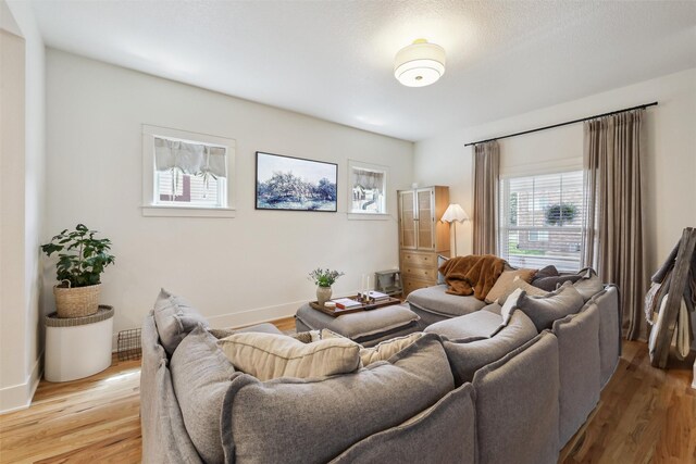 1107 24th St, Des Moines, IA 50311 - living area featuring plenty of natural light, light wood finished floors, and baseboards