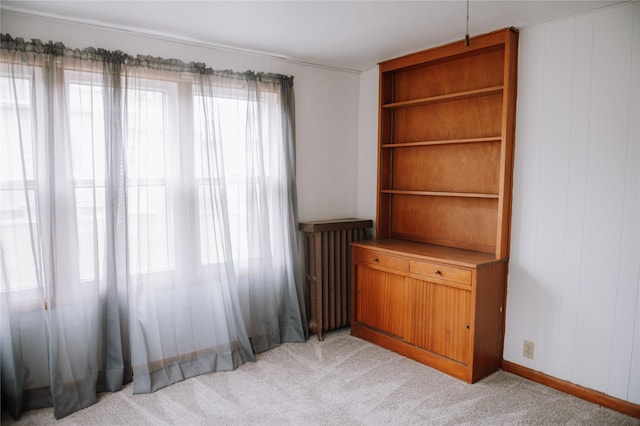 215 Linn St, Boone, IA 50036 - photo 11