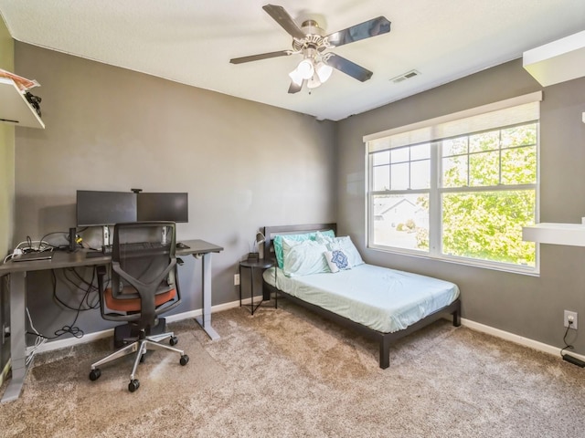 900 SE Woodbine Dr, Grimes, IA 50111 - carpeted bedroom with multiple windows and baseboards