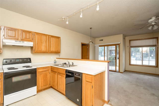 2433 Patricia Dr Unit 24, Urbandale, IA 50322 - kitchen featuring white electric range, dishwasher, under cabinet range hood, a sink, and a peninsula