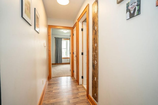102 Davenport St, Mingo, IA 50168 - photo 16