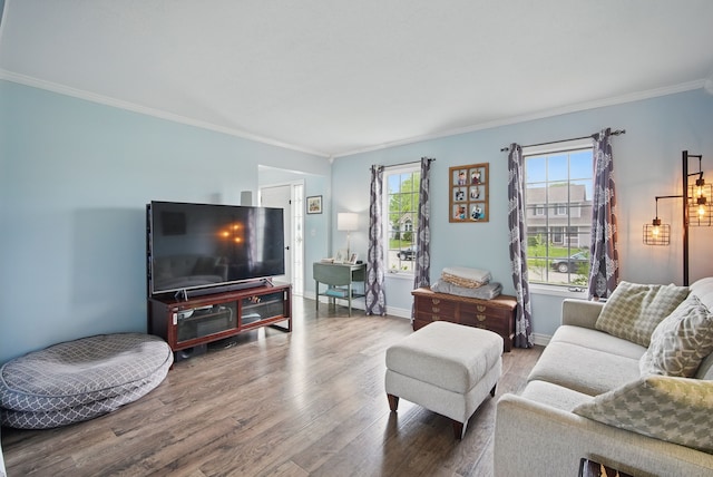 6173 Pommel Pl, West Des Moines, IA 50266 - living room with wood finished floors, crown molding, and baseboards