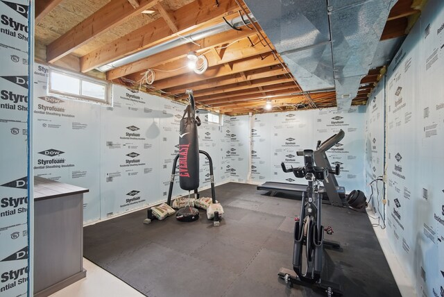6173 Pommel Pl, West Des Moines, IA 50266 - view of workout room