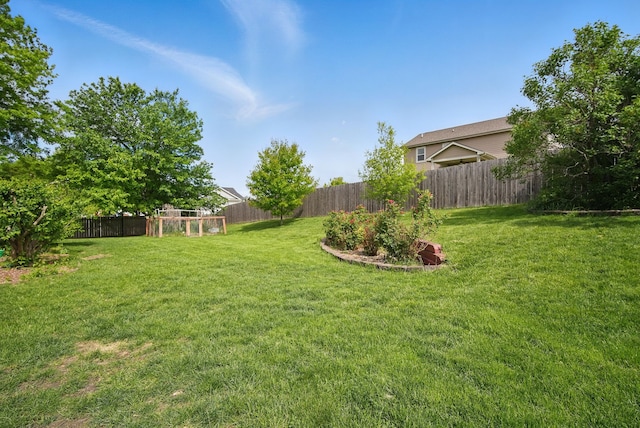6173 Pommel Pl, West Des Moines, IA 50266 - view of yard
