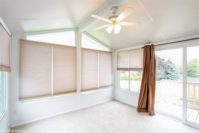 3205 SW Brookeline Dr, Ankeny, IA 50023 - photo 10