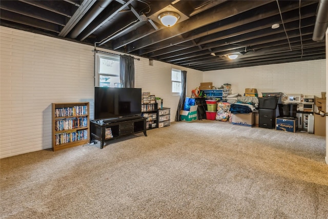 1903 W 5th Ave, Indianola, IA 50125 - below grade area featuring carpet and brick wall