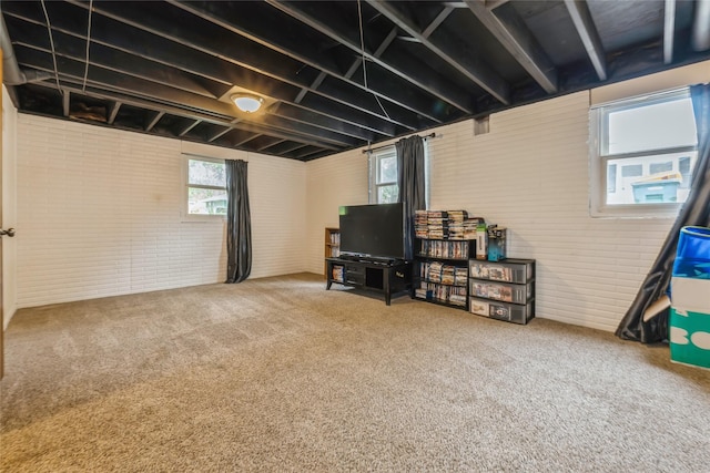 1903 W 5th Ave, Indianola, IA 50125 - below grade area with brick wall and carpet