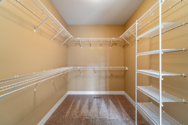 916 NE Silkwood St, Grimes, IA 50111 - spacious closet with carpet