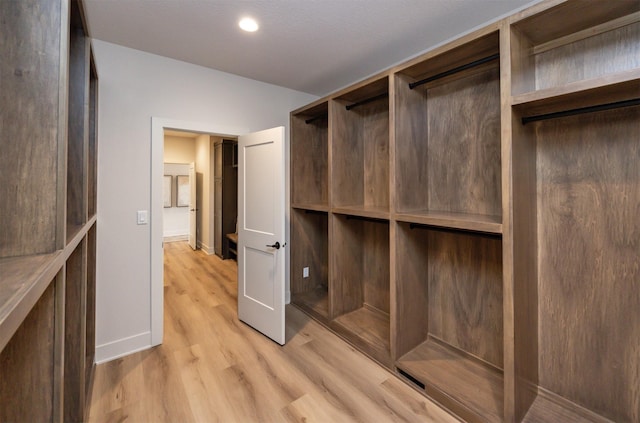 6204 Aspen Dr, West Des Moines, IA 50266 - spacious closet with light wood-style flooring