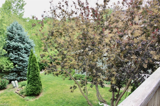 730 Kitterman Cir, Norwalk, IA 50211 - view of grassy yard