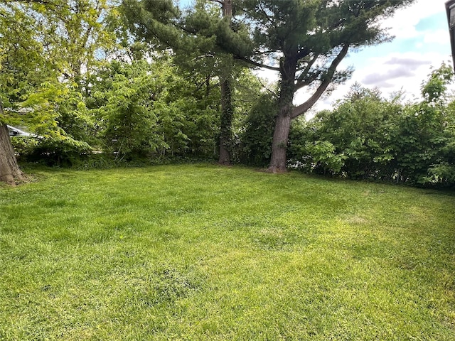 311 W 8th St S, Newton, IA 50208 - view of grassy yard