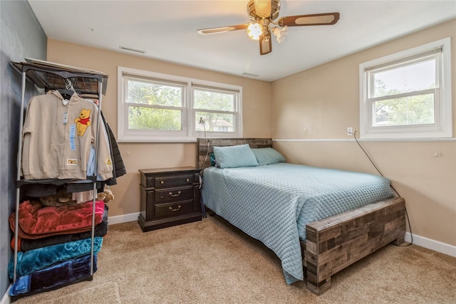602 SE 7th St, Ankeny, IA 50021 - bedroom with multiple windows, light colored carpet, and baseboards