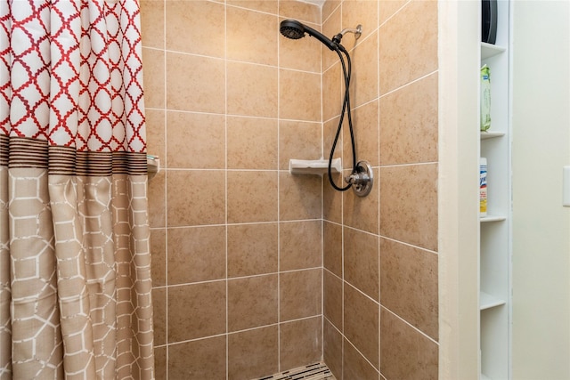 602 SE 7th St, Ankeny, IA 50021 - bathroom with a tile shower and built in features