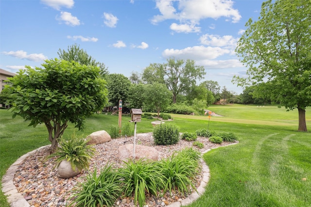 1176 Glen Oaks Dr, West Des Moines, IA 50266 - view of green lawn