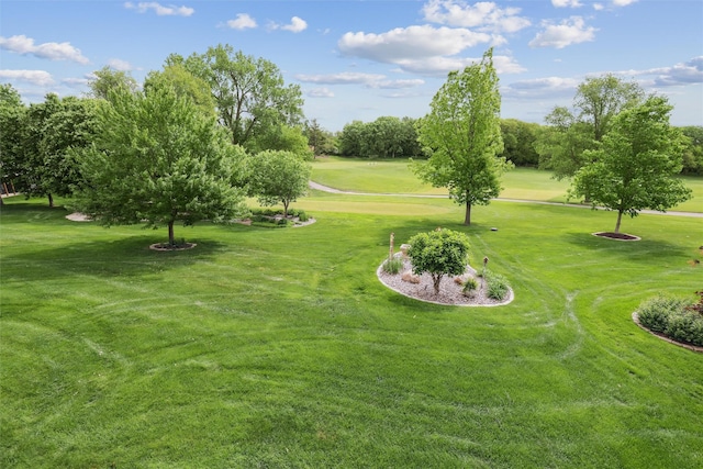 1176 Glen Oaks Dr, West Des Moines, IA 50266 - view of green lawn