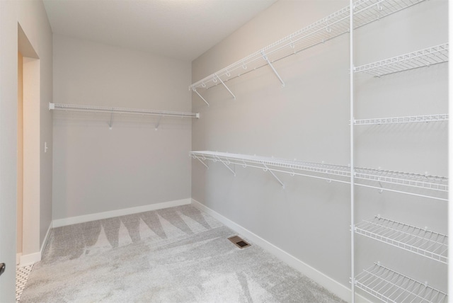 3309 NW Reinhart Dr, Ankeny, IA 50023 - spacious closet featuring carpet