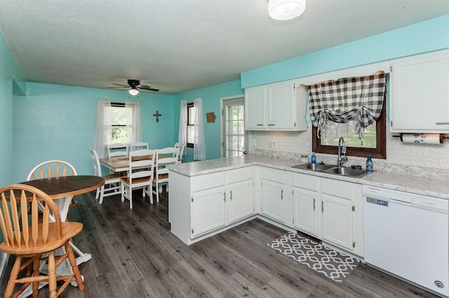 1406 110th Pl, Knoxville, IA 50138 - kitchen featuring dishwasher, a sink, a textured ceiling, a peninsula, and a ceiling fan