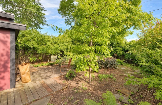 936 15th St, West Des Moines, IA 50265 - view of yard