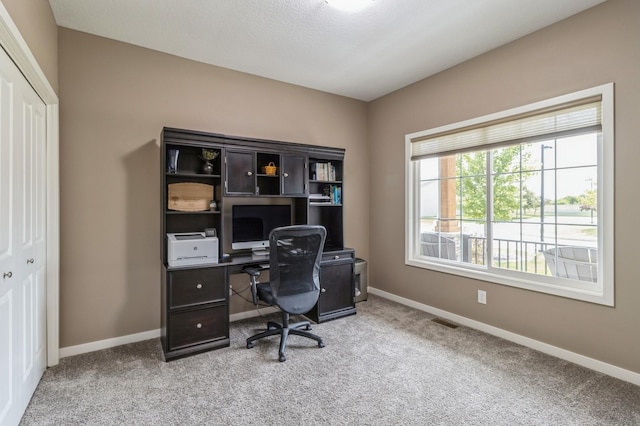5645 Prairie Grass Dr, Johnston, IA 50131 - office area with carpet flooring and baseboards