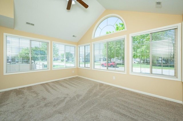 3305 SE Glenstone Dr Unit 236, Grimes, IA 50111 - unfurnished sunroom featuring carpet, healthy amount of natural light, baseboards, and high vaulted ceiling