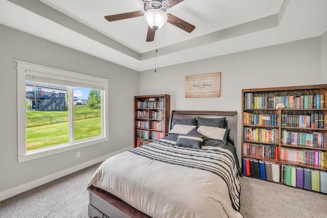 3911 NW 14th Ct, Ankeny, IA 50023 - bedroom featuring carpet flooring, a raised ceiling, baseboards, and a ceiling fan