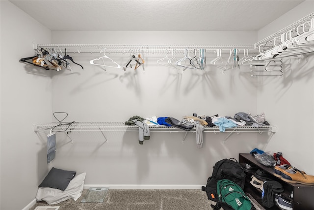 2320 SE Maxwell Dr, Waukee, IA 50263 - walk in closet with carpet floors