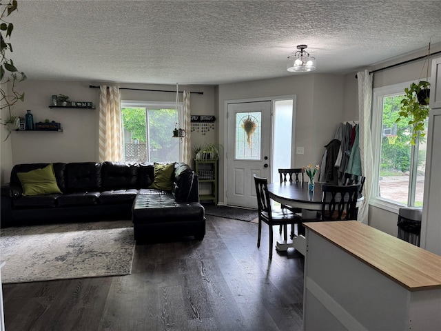 2520 NW 14th St, Ankeny, IA 50023 - living area featuring dark wood-style floors and a textured ceiling