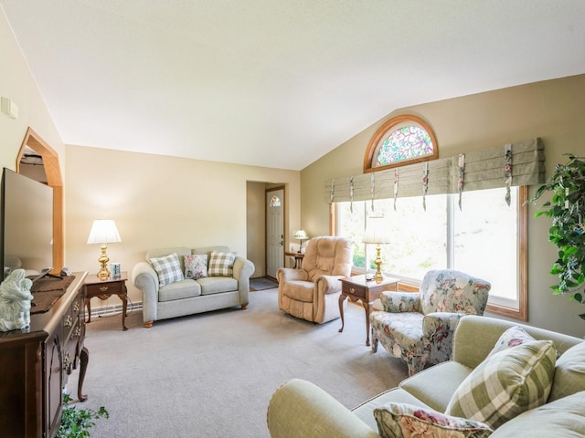 812 W 2nd St S, Newton, IA 50208 - carpeted living room featuring vaulted ceiling