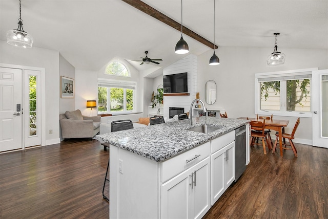4670 Meadow Valley Dr, West Des Moines, IA 50265 - kitchen with a sink, stainless steel dishwasher, a ceiling fan, a large fireplace, and open floor plan