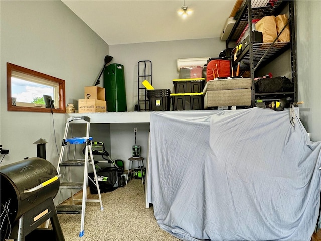 1008 Pine Brooke Ct, Clear Lake, IA 50428 - view of storage