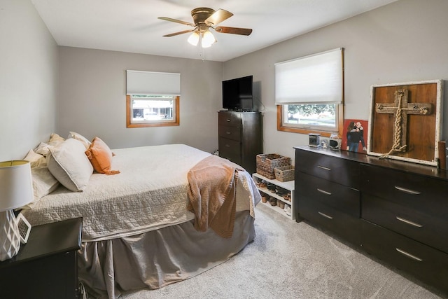 216 E 9th St, Pella, IA 50219 - bedroom with carpet and ceiling fan