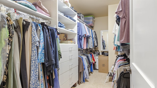510 Lexington Dr, Clear Lake, IA 50428 - view of spacious closet