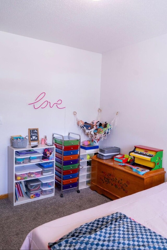 2326 E 39th Ct, Des Moines, IA 50317 - bedroom featuring carpet floors and a textured ceiling
