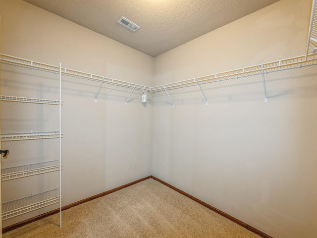 13106 Tanglewood Dr, Urbandale, IA 50323 - photo 21