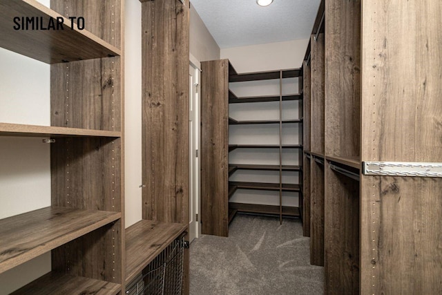 532 Wicker Dr, Huxley, IA 50124 - walk in closet with carpet flooring