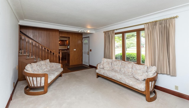 203 11th St, Dallas Center, IA 50063 - living area with baseboards, stairway, carpet flooring, and wood walls
