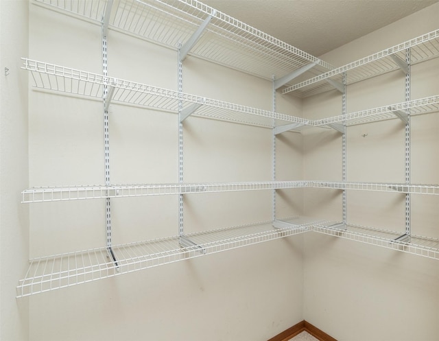 203 11th St, Dallas Center, IA 50063 - view of spacious closet