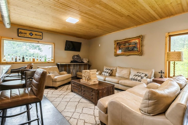 105 S Shore Dr, Montezuma, IA 50171 - living area featuring wooden ceiling