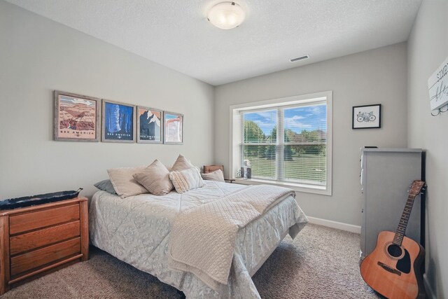 9012 NW 72nd Pl, Johnston, IA 50131 - carpeted bedroom with baseboards and a textured ceiling